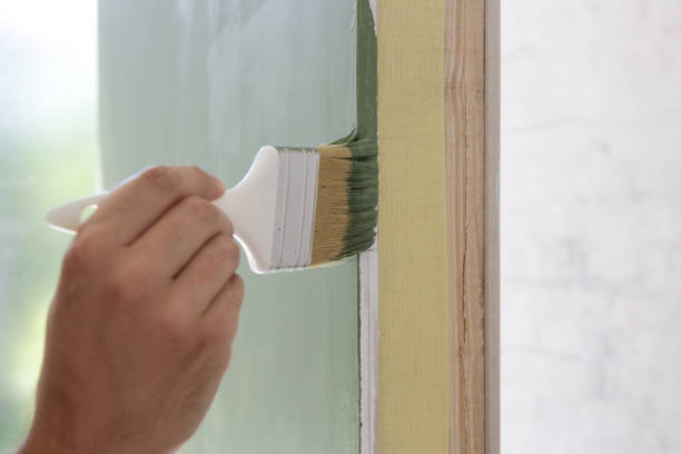 Best Basement Mold Removal  in Wheelersburg, OH