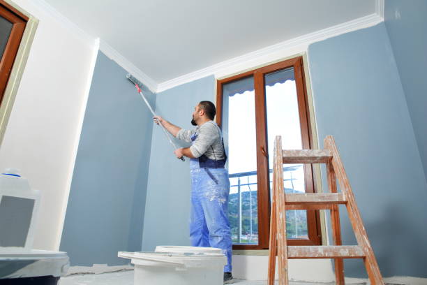 Wheelersburg, OH Mold Removal Company