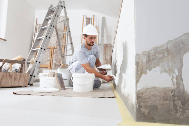 Best Water Damage & Mold Remediation  in Wheelersburg, OH