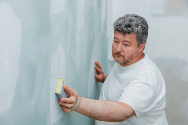 Best Post-Construction Mold Inspection  in Wheelersburg, OH