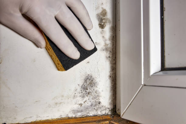 Best Indoor Air Quality Assessment  in Wheelersburg, OH