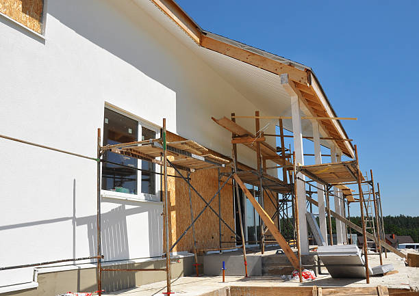Best Mold Damage Restoration  in Wheelersburg, OH