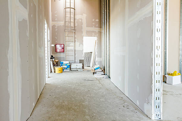 Best Emergency Mold Remediation  in Wheelersburg, OH