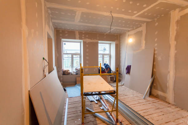 Best Attic Mold Removal  in Wheelersburg, OH